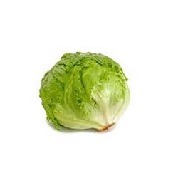 Lechuga Iceberg - Unidad
