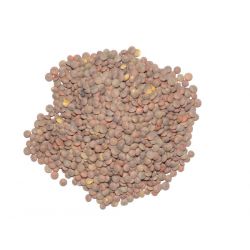 Lenteja Pardina 500 Gr