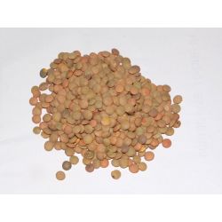 Lenteja Castellana 500 Gr