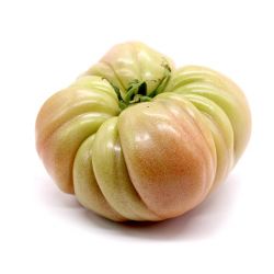 Tomate Castellano - Kg