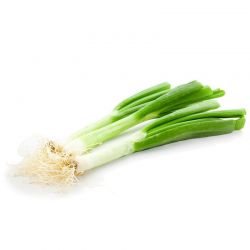 Puerro - Kg