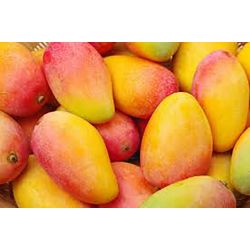 Mango - Kg