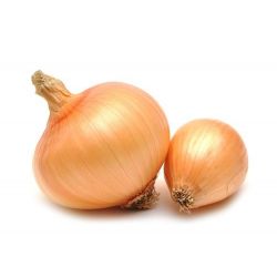 Cebolla Blanca - Kg